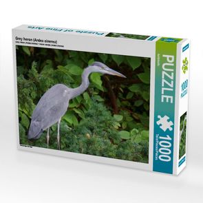 CALVENDO Puzzle Grey heron (Ardea cinerea) 1000 Teile Lege-Größe 64 x 48 cm Foto-Puzzle Bild von kattobello