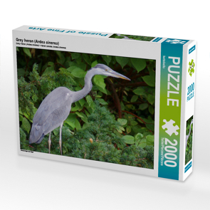 CALVENDO Puzzle Grey heron (Ardea cinerea) 2000 Teile Lege-Größe 90 x 67 cm Foto-Puzzle Bild von kattobello