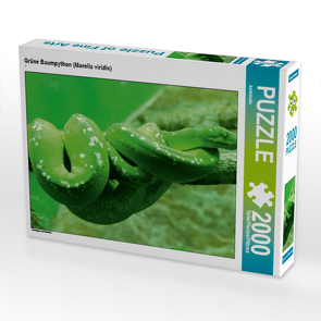 CALVENDO Puzzle Grüne Baumpython (Morelia viridis) 2000 Teile Lege-Größe 90 x 67 cm Foto-Puzzle Bild von kattobello