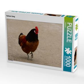 CALVENDO Puzzle Hahnen Gang 1000 Teile Lege-Größe 64 x 48 cm Foto-Puzzle Bild von Kattobello