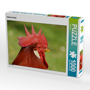 CALVENDO Puzzle Hahnen Haupt 1000 Teile Lege-Größe 64 x 48 cm Foto-Puzzle Bild von Kattobello