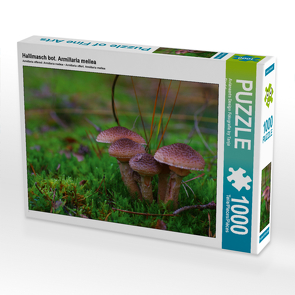 CALVENDO Puzzle Hallimasch bot. Armillaria mellea 1000 Teile Lege-Größe 64 x 48 cm Foto-Puzzle Bild von Avianaarts Design Fotografie by Tanja Riedel