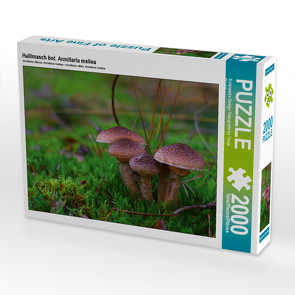 CALVENDO Puzzle Hallimasch bot. Armillaria mellea 2000 Teile Lege-Größe 90 x 67 cm Foto-Puzzle Bild von Avianaarts Design Fotografie by Tanja Riedel