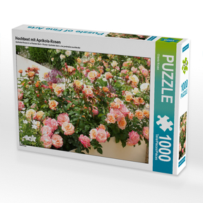 CALVENDO Puzzle Hochbeet mit Aprikola-Rosen 1000 Teile Lege-Größe 64 x 48 cm Foto-Puzzle Bild von Gisela Kruse