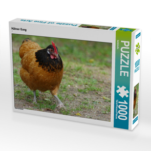 CALVENDO Puzzle Hühner Gang 1000 Teile Lege-Größe 64 x 48 cm Foto-Puzzle Bild von kattobello