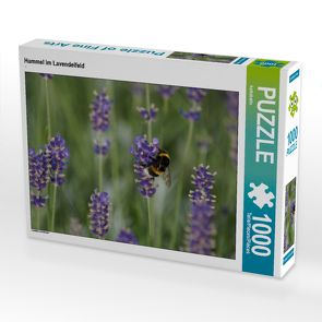 CALVENDO Puzzle Hummel im Lavendelfeld 1000 Teile Lege-Größe 64 x 48 cm Foto-Puzzle Bild von kattobello