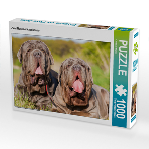 CALVENDO Puzzle Zwei Mastino Napoletano 1000 Teile Lege-Größe 64 x 48 cm Foto-Puzzle Bild von Christian Müller