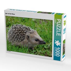 CALVENDO Puzzle Igel auf der Wiese 1000 Teile Lege-Größe 64 x 48 cm Foto-Puzzle Bild von Kattobello