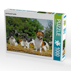 CALVENDO Puzzle Jack Russell Familie 1000 Teile Lege-Größe 64 x 48 cm Foto-Puzzle Bild von Sigrid Starick