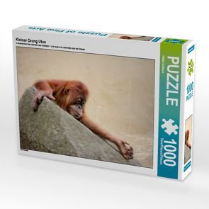 CALVENDO Puzzle Kleiner Orang Utan 1000 Teile Lege-Größe 64 x 48 cm Foto-Puzzle Bild von Heike Hultsch von Hultsch,  Heike