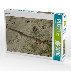 CALVENDO Puzzle Kreuzotter 2000 Teile Lege-Größe 90 x 67 cm Foto-Puzzle Bild von Kattobello