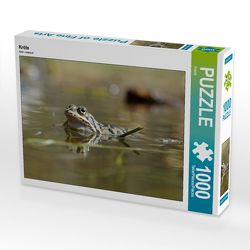 CALVENDO Puzzle Kröte 1000 Teile Lege-Größe 64 x 48 cm Foto-Puzzle Bild von Flori0