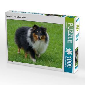 CALVENDO Puzzle Langhaar Collie auf der Wiese 1000 Teile Lege-Größe 64 x 48 cm Foto-Puzzle Bild von kattobello