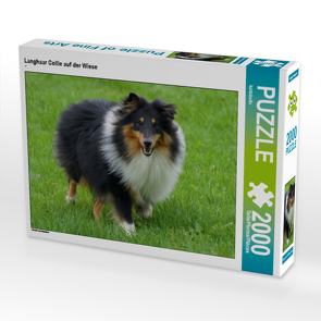 CALVENDO Puzzle Langhaar Collie auf der Wiese 2000 Teile Lege-Größe 90 x 67 cm Foto-Puzzle Bild von kattobello