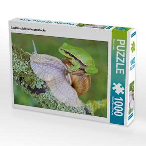 CALVENDO Puzzle Laubfrosch/Weinbergschnecke 1000 Teile Lege-Größe 64 x 48 cm Foto-Puzzle Bild von Klaus Feske