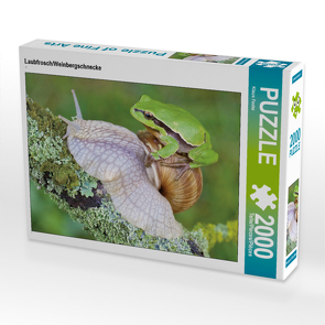 CALVENDO Puzzle Laubfrosch/Weinbergschnecke 2000 Teile Lege-Größe 90 x 67 cm Foto-Puzzle Bild von Klaus Feske