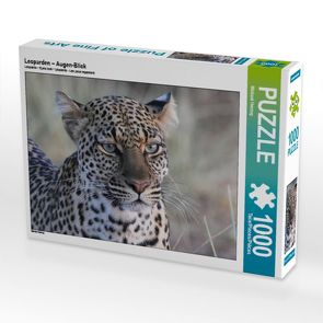 CALVENDO Puzzle Leoparden – Augen-Blick 1000 Teile Lege-Größe 64 x 48 cm Foto-Puzzle Bild von Michael Herzog