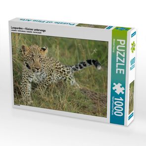 CALVENDO Puzzle Leoparden – Kleiner unterwegs 1000 Teile Lege-Größe 64 x 48 cm Foto-Puzzle Bild von Michael Herzog