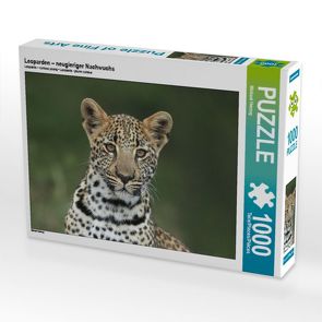 CALVENDO Puzzle Leoparden – neugieriger Nachwuchs 1000 Teile Lege-Größe 64 x 48 cm Foto-Puzzle Bild von Michael Herzog