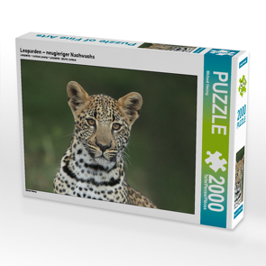 CALVENDO Puzzle Leoparden – neugieriger Nachwuchs 2000 Teile Lege-Größe 90 x 67 cm Foto-Puzzle Bild von Michael Herzog