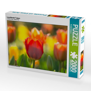 CALVENDO Puzzle Leuchtende Tulpen 2000 Teile Lege-Größe 90 x 67 cm Foto-Puzzle Bild von Monika Scheurer