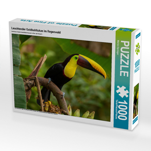 CALVENDO Puzzle Leuchtender Goldkehltukan im Regenwald 1000 Teile Lege-Größe 64 x 48 cm Foto-Puzzle Bild von Marion Springer