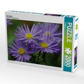 CALVENDO Puzzle Lila Aster 2000 Teile Lege-Größe 90 x 67 cm Foto-Puzzle Bild von kattobello