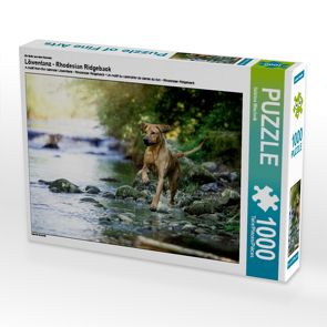 CALVENDO Puzzle Löwentanz – Rhodesian Ridgeback 1000 Teile Lege-Größe 64 x 48 cm Foto-Puzzle Bild von Sabrina Mischnik von Mischnik,  Sabrina