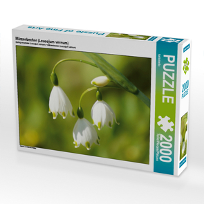 CALVENDO Puzzle Märzenbecher (Leucojum vernum) 2000 Teile Lege-Größe 90 x 67 cm Foto-Puzzle Bild von kattobello