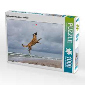CALVENDO Puzzle Malinois am Strand beim Ballspiel 1000 Teile Lege-Größe 64 x 48 cm Foto-Puzzle Bild von Annett Mirsberger