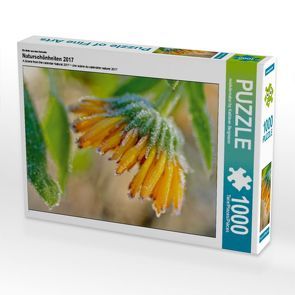 CALVENDO Puzzle Naturschönheiten 2017 1000 Teile Lege-Größe 64 x 48 cm Foto-Puzzle Bild von reichdernatur by Kathleen Bergmann von by Kathleen Bergmann,  reichdernatur