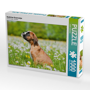 CALVENDO Puzzle Niedlicher Boxerwelpe 1000 Teile Lege-Größe 64 x 48 cm Foto-Puzzle Bild von Judith Dzierzawa