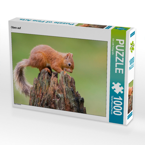 CALVENDO Puzzle Oben auf 1000 Teile Lege-Größe 64 x 48 cm Foto-Puzzle Bild von Em-Jott Fotografie