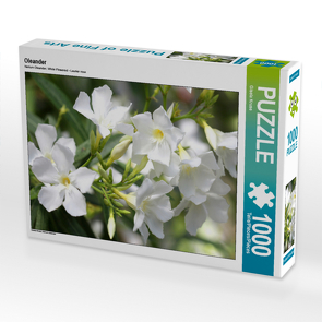 CALVENDO Puzzle Oleander 1000 Teile Lege-Größe 64 x 48 cm Foto-Puzzle Bild von Gisela Kruse