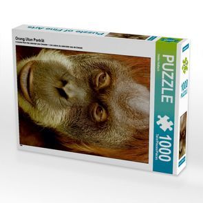 CALVENDO Puzzle Orang Utan Porträt 1000 Teile Lege-Größe 48 x 64 cm Foto-Puzzle Bild von Heike Hultsch von Hultsch,  Heike