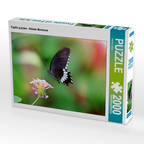 CALVENDO Puzzle Papilio polytes – Kleiner Mormone 2000 Teile Lege-Größe 90 x 67 cm Foto-Puzzle Bild von Sabine Löwer
