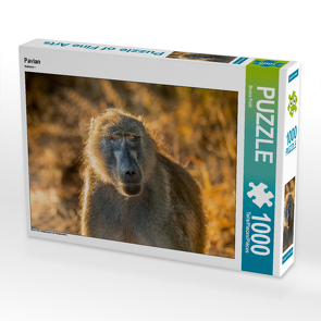 CALVENDO Puzzle Pavian 1000 Teile Lege-Größe 64 x 48 cm Foto-Puzzle Bild von Bruno Pohl