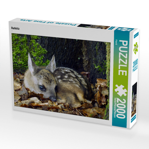 CALVENDO Puzzle Rehkitz 2000 Teile Lege-Größe 90 x 67 cm Foto-Puzzle Bild von Flori0