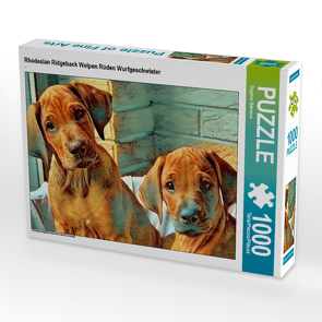 CALVENDO Puzzle Rhodesian Ridgeback Welpen Rüden Wurfgeschwister 1000 Teile Lege-Größe 64 x 48 cm Foto-Puzzle Bild von Dagmar Behrens