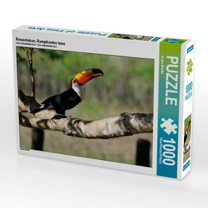 CALVENDO Puzzle Riesentukan, Ramphastos toco 1000 Teile Lege-Größe 64 x 48 cm Foto-Puzzle Bild von Jürgen Wöhlke