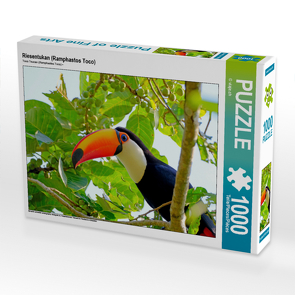 CALVENDO Puzzle Riesentukan (Ramphastos Toco) 1000 Teile Lege-Größe 64 x 48 cm Foto-Puzzle Bild von © viaje.ch