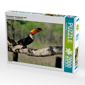 CALVENDO Puzzle Riesentukan, Ramphastos toco 2000 Teile Lege-Größe 90 x 67 cm Foto-Puzzle Bild von Jürgen Wöhlke