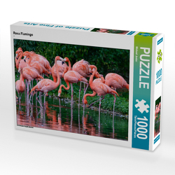 CALVENDO Puzzle Rosa Flamingo 1000 Teile Lege-Größe 64 x 48 cm Foto-Puzzle Bild von Michael Jaster