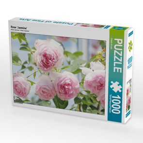 CALVENDO Puzzle Rose ‚Jasmina‘ 1000 Teile Lege-Größe 64 x 48 cm Foto-Puzzle Bild von Gisela Kruse