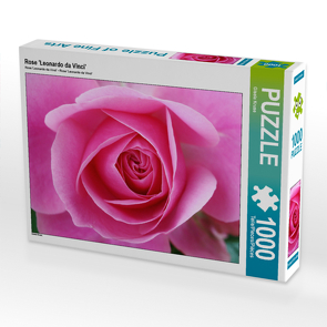 CALVENDO Puzzle Rose ‚Leonardo da Vinci‘ 1000 Teile Lege-Größe 64 x 48 cm Foto-Puzzle Bild von Gisela Kruse