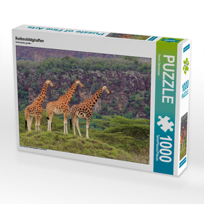 CALVENDO Puzzle Rothschildgiraffen 1000 Teile Lege-Größe 64 x 48 cm Foto-Puzzle Bild von David Oberholzer