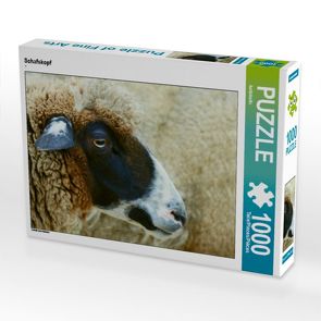 CALVENDO Puzzle Schafskopf 1000 Teile Lege-Größe 64 x 48 cm Foto-Puzzle Bild von kattobello