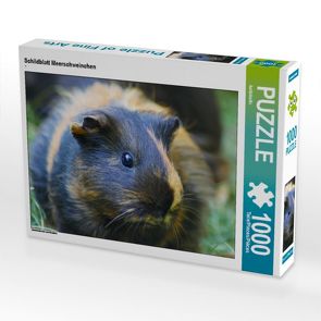 CALVENDO Puzzle Schildblatt Meerschweinchen 1000 Teile Lege-Größe 64 x 48 cm Foto-Puzzle Bild von kattobello