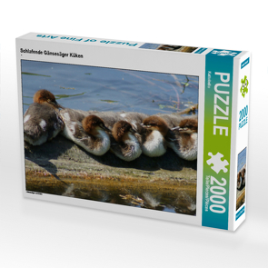 CALVENDO Puzzle Schlafende Gänsesäger Küken 2000 Teile Lege-Größe 90 x 67 cm Foto-Puzzle Bild von Kattobello