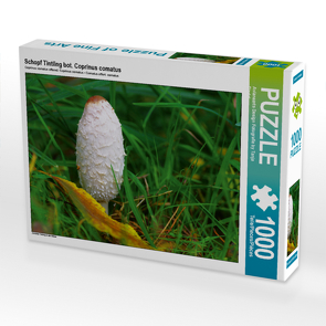 CALVENDO Puzzle Schopf Tintling bot. Coprinus comatus 1000 Teile Lege-Größe 64 x 48 cm Foto-Puzzle Bild von Avianaarts Design Fotografie by Tanja Riedel